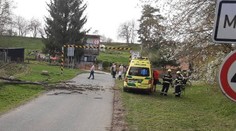 Do Česka vtrhl silný vítr. Padající strom zranil cyklistu