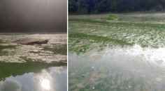 Plasty a zdechliny ryb i ptáků: Otava je šílená, zlobí se Míla. Co na to úřad?