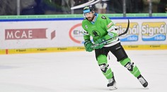 Na ledě: Ze zedníka profesionálním hokejistou. Gewiese o cestě do české extraligy