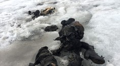 Dcera našla rodiče po 75 letech. Byli zamrzlí v alpském ledovci!