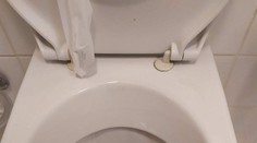 Host se nastěhoval v Praze do hotelu, na WC ho překvapila krajta královská