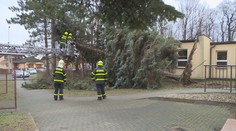 VÝSTRAHA: Část Česka zasáhne silný vítr, varují meteorologové