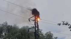 U Nového Jičína vzplálo čapí hnízdo. Hasiči v něm našli mrtvá mláďata