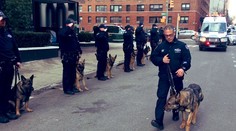 Policejní pes prohrál s rakovinou. Na poslední cestu mu salutovali