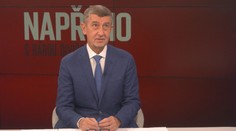 Andrej Babiš: Kandidatura na prezidenta bude záviset na rozhodnutí mojí rodiny