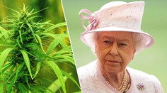 Pokroková královská rodina: Alžběta začala obchodovat s marihuanou!