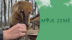 Zoologické zahrady mají stále problémy. Lidé se skládají i na krmivo