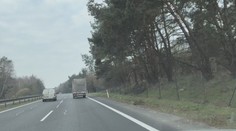 Dálnici D10 lemují nebezpečné stromy. Některé musí k zemi, slibuje ŘSD