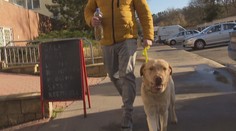 Část majitelů psů v Praze přišla se zajímavou peticí. Na procházky mají nosit ocet