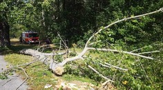 Tragédie na Slovensku! Silný vítr zabil 14leté dítě, další jsou zraněné