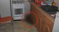 Muž nechal psa v bytě a odstěhoval se jinam! Zvíře zemřelo vysílením