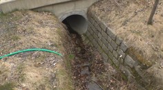 Česko trápí dlouhodobé sucho. Obce už zavedly potřebná omezení