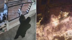 Žhář polil pizzerii hořlavinou a zapálil. Kamera ohnivé peklo natočila!! VIDEO