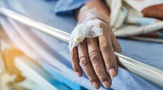 Ženu olíznul pes, za pár hodin upadla do kómatu. Lékaři varují před zásadní chybou