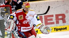Furch ze Slavie: Se Spartou to nevyšlo, výkony se lepší