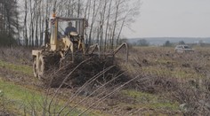 V Česku ubývá ovocných sadů. Pěstování se už nevyplatí, zlobí se zemědělci