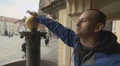 VÍKEND: Slepý horolezec poslal na Hrad žádost o práci! Jak dopadl?
