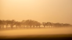 Sahara se mění. Pro Evropu to může mít katastrofální následky