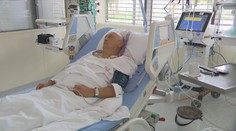 Pan Bohdan se otrávil muchomůrkou zelenou. Málem přišel o játra