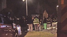Ztraceného chlapečka (5) našli v křoví. V zimě ho zahřívali psi!