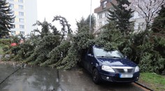 Česko sčítá škody po bouři, vítr lámal stromy a strhával střechy