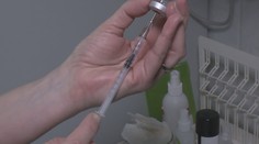 Případů tuberkulózy přibývá. Souvislost s uprchlíky zatím není prokazatelná, uvádí odborníci