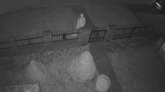 Policie dopadla vánoční zlodějku. Měla krást ozdoby i věnce ze dveří