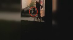Muž z Prahy brutálně mlátil štěně, házel s ním i o zem! Řeší to policie