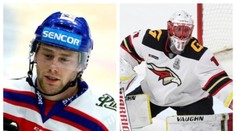 Reprezentaci posílí mistři KHL. Pešán odhalil i možné posily ze zámoří