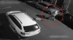 Lupič vláčel dívku za vlasy a kopl ji do hlavy. Poznáváte ho? VIDEO