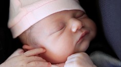 V Tescu odhalili toxickou kojeneckou výživu. Zastavuje se prodej celé šarže