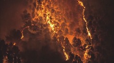 Nejhorší požáry za 10 let. Úřady v USA ani nestíhají varovat obyvatele