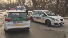 Tragédie na Slovensku! Spadlá větev zabila malého chlapce