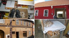 Špína, myši a okousané potraviny: Inspektoři uzavřeli 16 provozoven