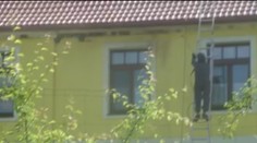 Hnízda jiřiček smetli ze střechy tlakovým čističem! Sousedi to natočili