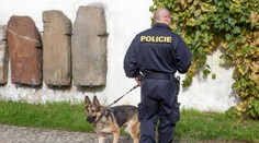 Pachové stopy používala policie špatně, tvrdí spolek Šalamoun