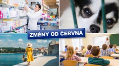 Vyšší tresty za týrání, nová žádost o ošetřovné. Tohle se od června mění