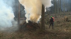 Požárů v přírodě rychle přibývá. Na vině je sucho i lidská nedbalost
