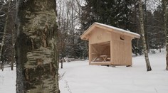 Lesy ČR otevřely 32 nových útulen. Lidé ale často porušují pravidla