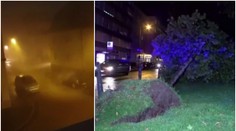 V Německu řádilo tornádo! Na auto s rodinou spadl strom