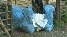 Stovky slepic trpěly bez krmení, požíraly se mezi sebou. Majiteli hrozí vězení
