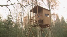 Sabině zastřelil myslivec při venčení fenku. Myslel jsem, že je to liška, brání se