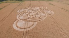 Lovci UFO bijí na poplach! Na Liberecku se objevily kruhy v obilí
