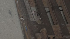 Chrudim zaplavili potkani, jsou jich desítky tisíc. Pomoct má deratizace