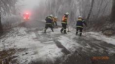 Na Bruntálsku námraza láme stromy. Jezděte jinudy, radí hasiči řidičům