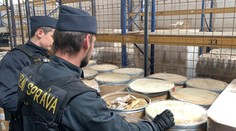 Rekordní nález v Praze! Celníci objevili 3 tuny surovin na pervitin