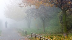 Extrémní mlhy, sluníčko jen někde. Svatému Martinovi se bílý kůň zaběhl