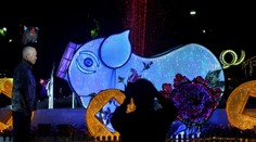 VIDEO: Blíží se čínský rok Vepře! Podle astrologů přinese štěstí i peníze