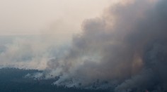 Do hašení požárů v Amazonii se zapojí armáda. Pomoc nabídl i Trump