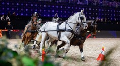 Divákům při Prague Playoffs opět rozproudí krev i závody čtyřspřeží